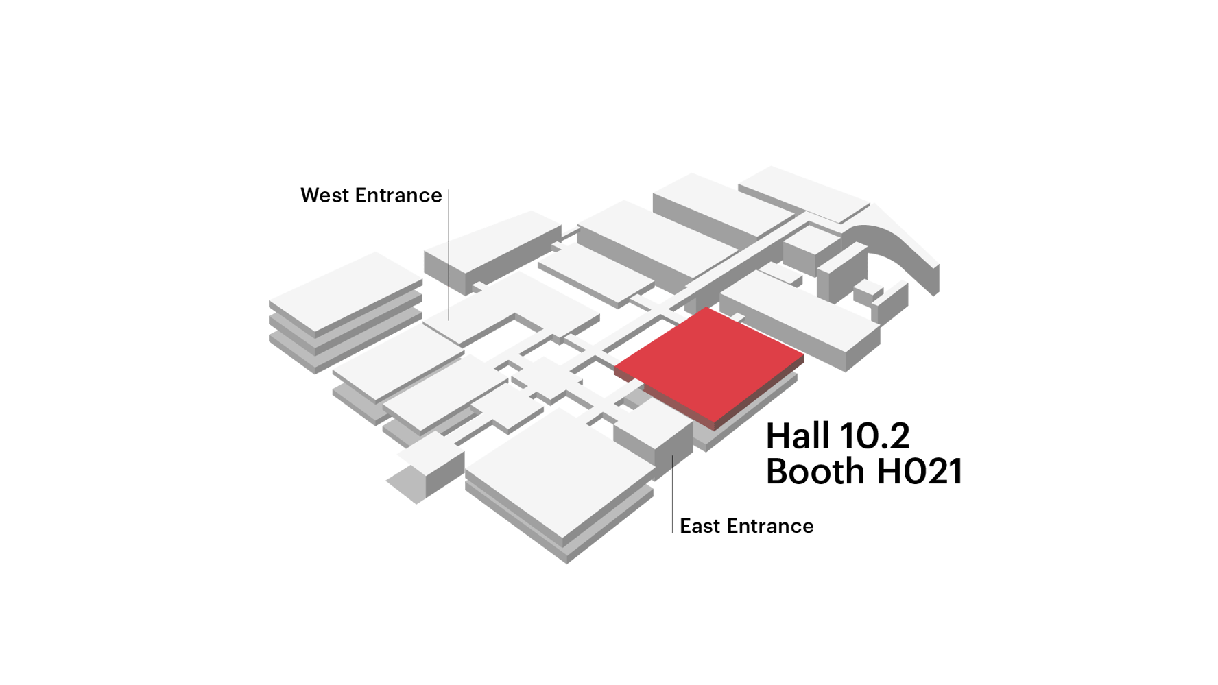 pianta_Interzum_t03