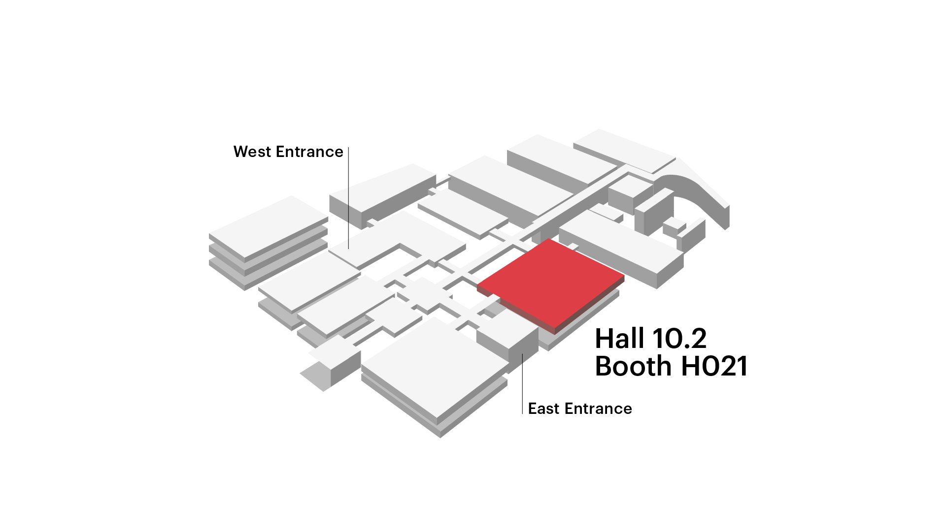 pianta_Interzum_t03